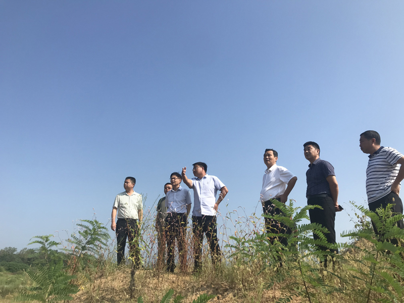 xinyangyangjiaotjudaoxuxinxinyangduandiaoyanchaiqiangognzuo2020.9.1-1.jpg
