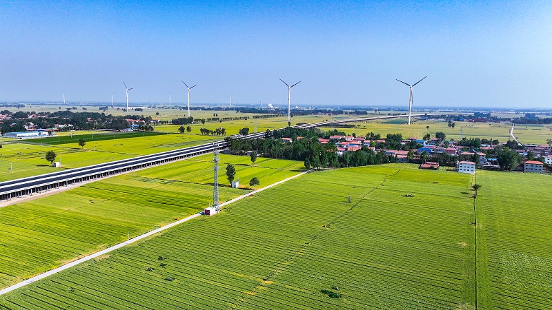 1767082573679.jpg 图4-安罗高速省界至原阳段.jpg